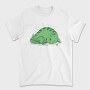Dinosaur Sleeping T Rex, Tricou Barbati (Unisex)