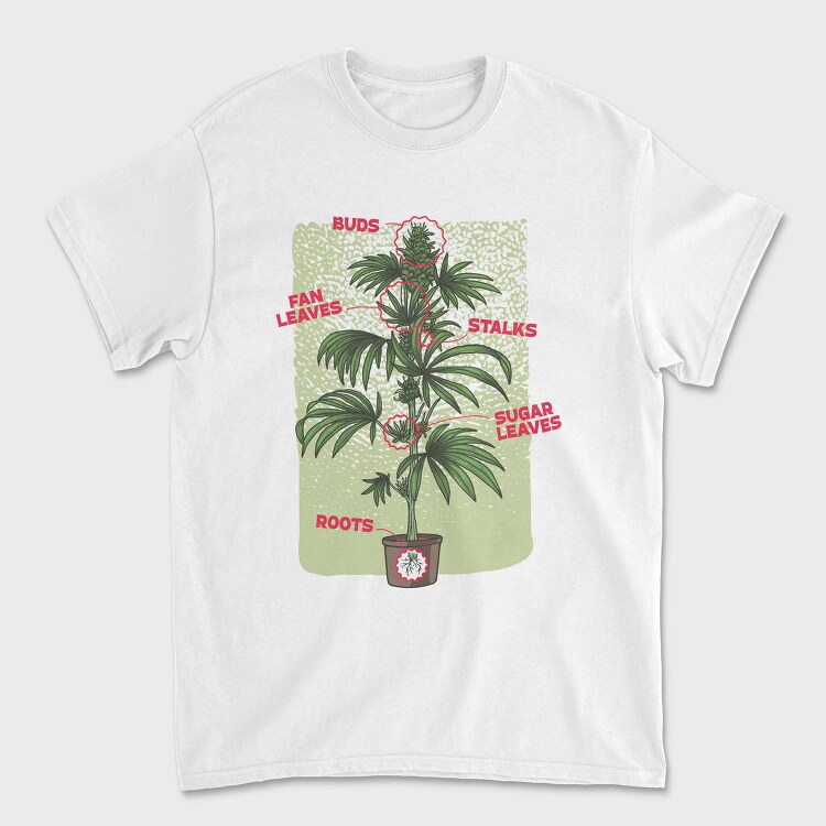 Cannabis Plant Chart Nature Weed, Tricou Barbati (Unisex)