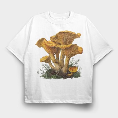 Vintage Mushroom Fairy, Tricou Oversize Barbati (Unisex)