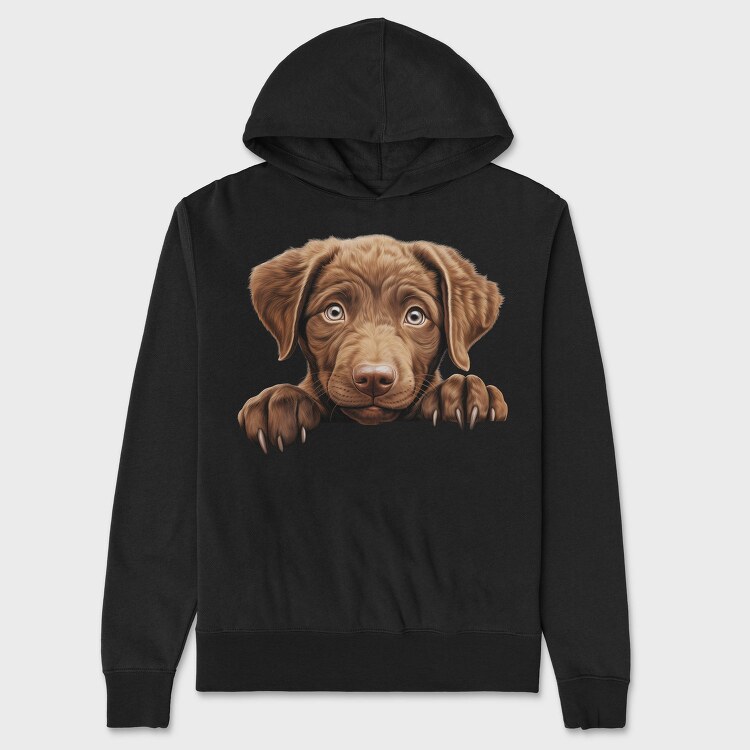 Chesapeake Bay Retriever, Hanorac Oversize Barbati (Unisex)