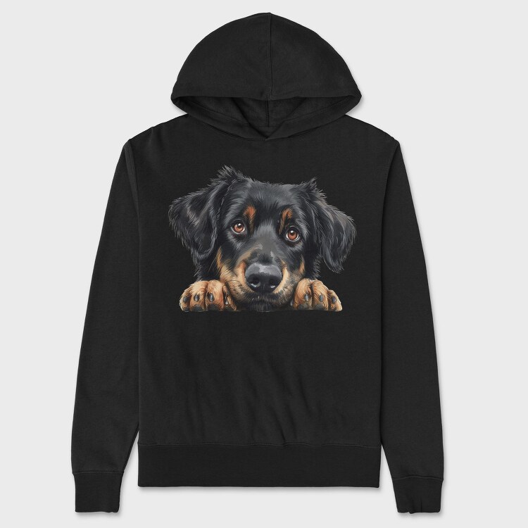 Hovawart Peeking Face, Hanorac Oversize Barbati (Unisex)