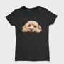 Cockapoo Face Peeking, Tricou Femei