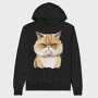 Exotic Shorthair Cat, Hanorac Oversize Barbati (Unisex)