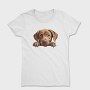 Labrador Retriever Peeking, Tricou Femei