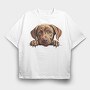 Labrador Retriever Peeking, Tricou Oversize Barbati (Unisex)