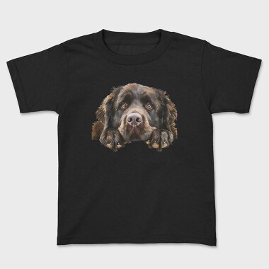 Newfoundland Peeking Face, Tricou Copii