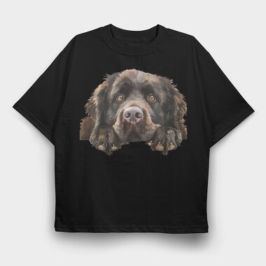 Newfoundland Peeking Face, Tricou Oversize Barbati (Unisex)