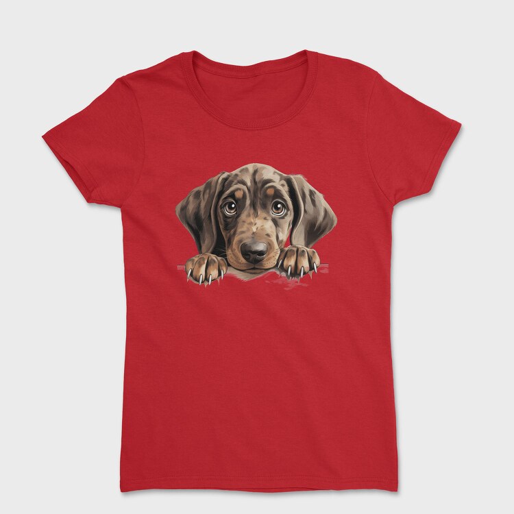 Plott Hound Peeking, Tricou Femei