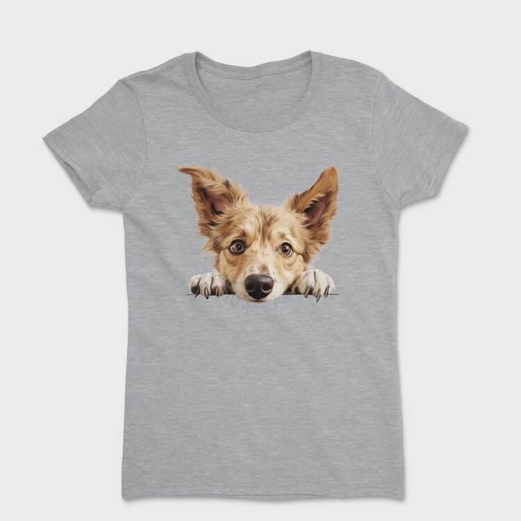 Portuguese Podengo Pequeno, Tricou Femei