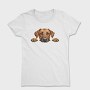 Rhodesian Ridgeback Peek, Tricou Femei