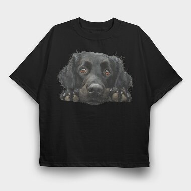 Shadow Paw Spy, Tricou Oversize Barbati (Unisex)