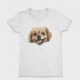 Tibetan Spaniel Reveal, Tricou Femei