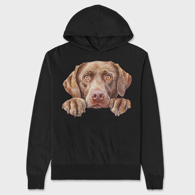 Watercolor Chesapeake Retriever, Hanorac Oversize Barbati (Unisex)