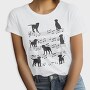 Music Staff Dogs, Tricou Femei