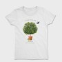 Lemon Tree, Tricou Femei