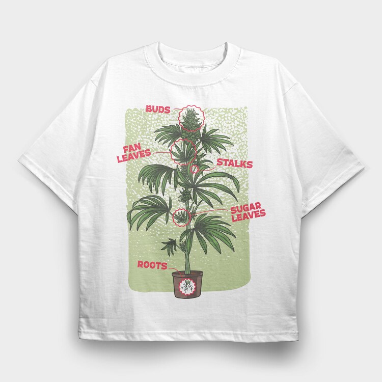 Cannabis Plant Chart Nature Weed, Tricou Oversize Barbati (Unisex)