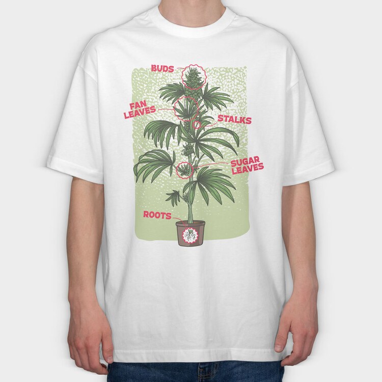 Cannabis Plant Chart Nature Weed, Tricou Oversize Barbati (Unisex)
