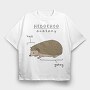 Funny Hedgehog Anatomy Meme, Tricou Oversize Barbati (Unisex)