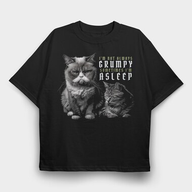 Cat Grumpy Asleep, Tricou Oversize Barbati (Unisex)