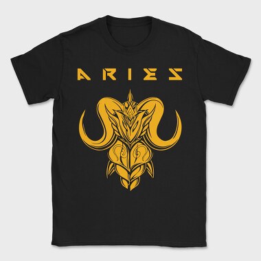 Saint Seiya 13, Tricou Barbati (Unisex)