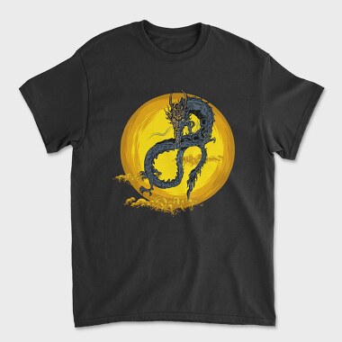 Dragon Sun Storm, Tricou Barbati (Unisex)